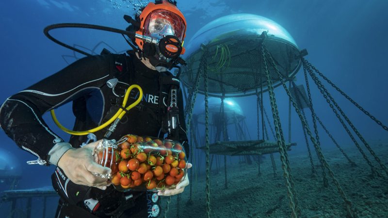 OLTRE IL CASTELLO, OLTRE I CONFINI: LA SELEZIONE ONLINE DELL’ISCHIA FILM FESTIVAL 2026