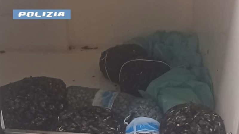 NAPOLI: SEQUESTRATI 70 KG DI MOLLUSCHI PRIVI DI TRACCIABILITÀ. LA POLIZIA DI STATO SANZIONA IL CONDUCENTE DI UN FURGONE