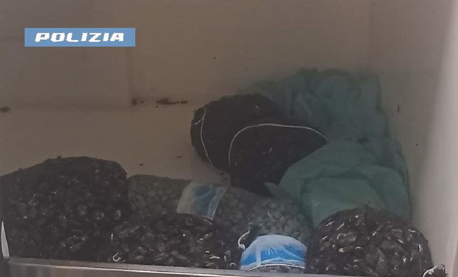 NAPOLI: SEQUESTRATI 70 KG DI MOLLUSCHI PRIVI DI TRACCIABILITÀ. LA POLIZIA DI STATO SANZIONA IL CONDUCENTE DI UN FURGONE
