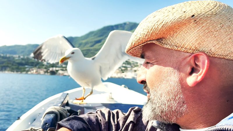 “IL PESCATORE E IL GABBIANO”, A ISCHIA L’INCREDIBILE AMICIZIA TRA DOMENICO SCHIANO E PASQUALE (video)
