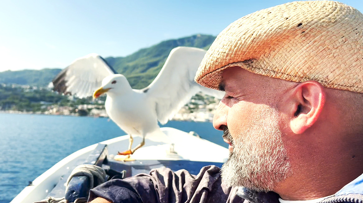 “IL PESCATORE E IL GABBIANO”, A ISCHIA L’INCREDIBILE AMICIZIA TRA DOMENICO SCHIANO E PASQUALE (video)