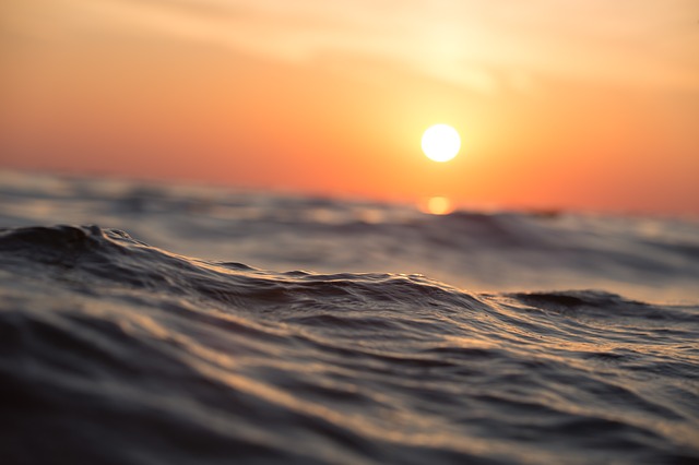 COLDIRETTI PESCA CAMPANIA: MARE BOLLENTE, SOS PER LA MITILICOLTURA E ACQUACOLTURA