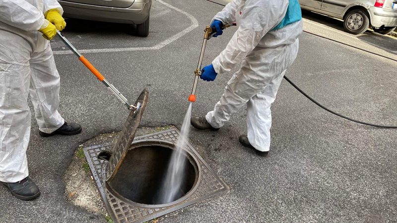 ISCHIA, DA QUESTA NOTTE AL VIA GLI INTERVENTI DI DERATTIZZAZIONE E DEBLATTIZZAZIONE