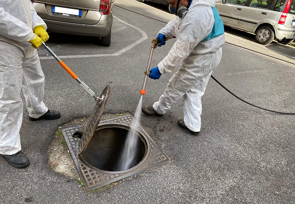 ISCHIA, DA QUESTA NOTTE AL VIA GLI INTERVENTI DI DERATTIZZAZIONE E DEBLATTIZZAZIONE