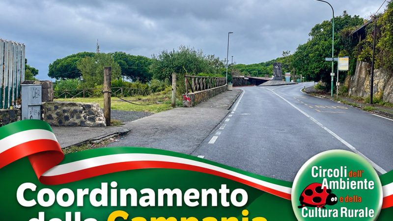 VESUVIO. LA MONTAGNA DIMENTICATA, L’ALLARME DEI CIRCOLI DELL’AMBIENTE