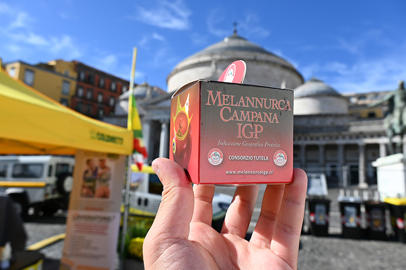 GIORNATE DELLA SALUTE, COLDIRETTI NAPOLI AL VILLAGGIO IN PIAZZA PLEBISCITO PER RIBADIRE IMPORTANZA DIFESA SALUTE CITTADINI E REDDITO AGRICOLTORI