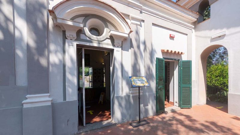DA PITHEKOUSSAI A PARTHENOPE: IL VIAGGIO DELLA MEMORIA CONTINUA