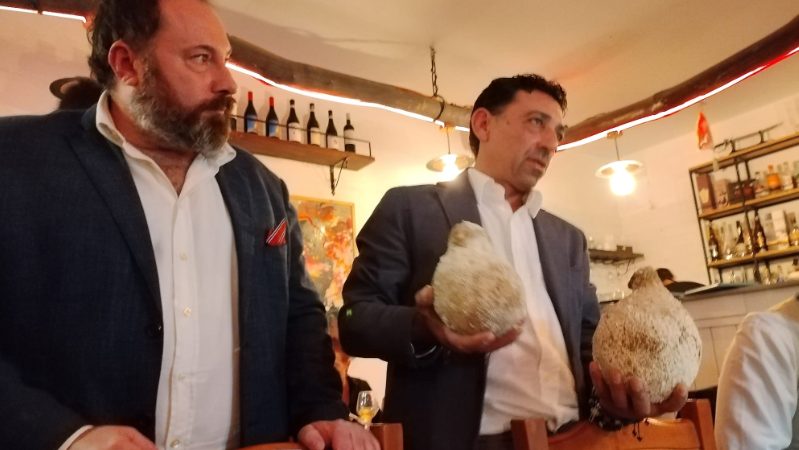 NÈSO, LE GROTTE E L’ANIMA DI ISCHIA
