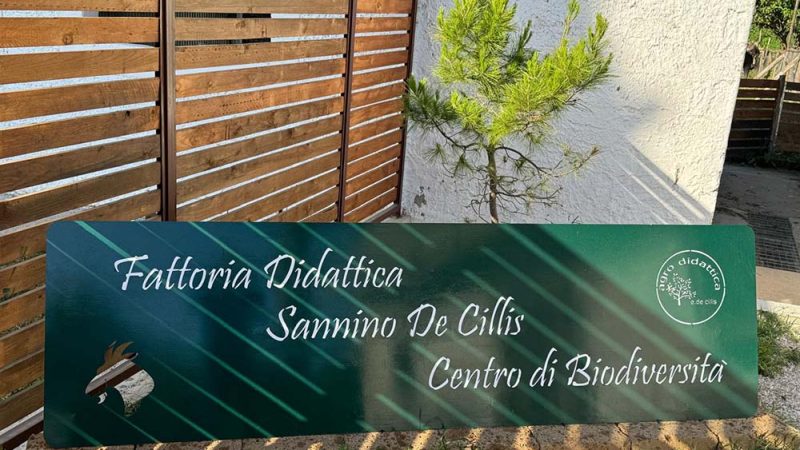 “SEMINARE SALUTE”, NAPOLI OSPITA IL XVIII CONGRESSO NAZIONALE RE.N.I.S.A: DAL 14 AL 16 OTTOBRE 2026